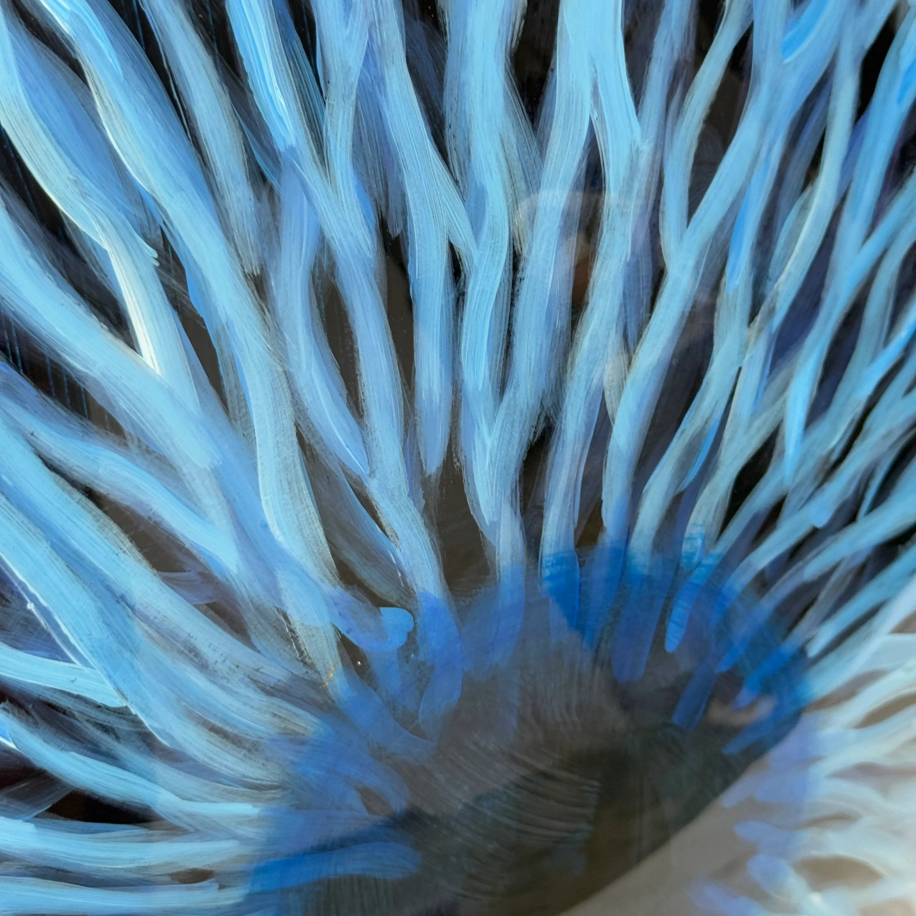 Nova Bloom
