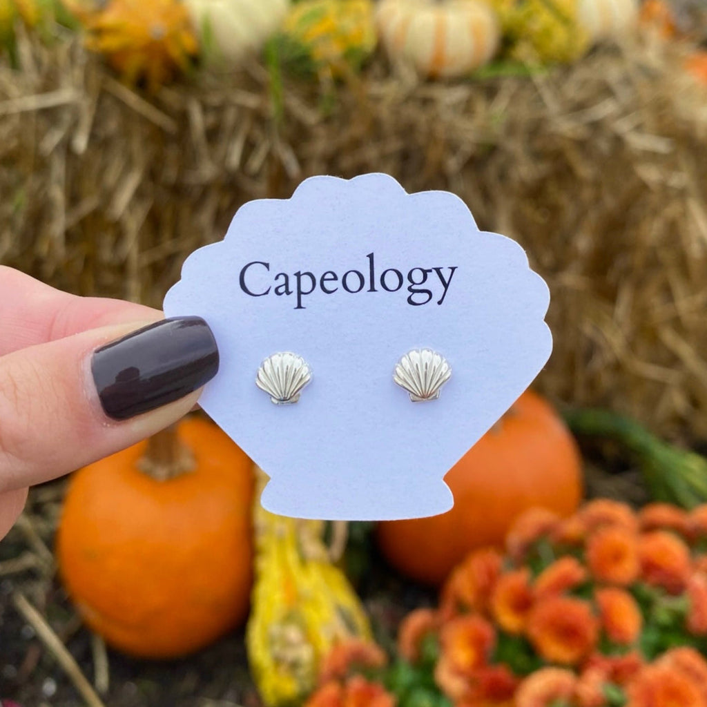 Seashell Earrings