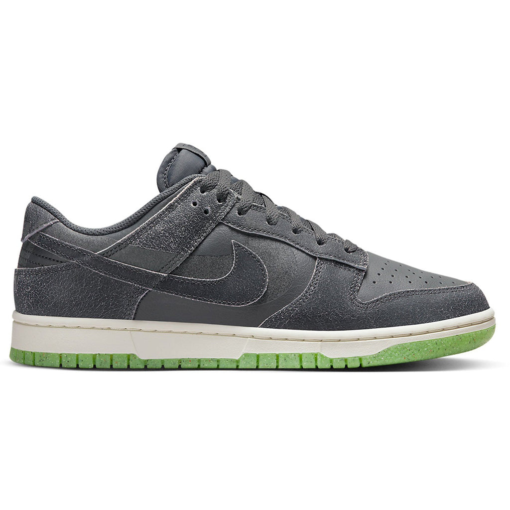 Nike Dunk Low Swoosh Shadow Iron Grey