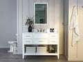 Hayley 48" Bath Vanity Set
