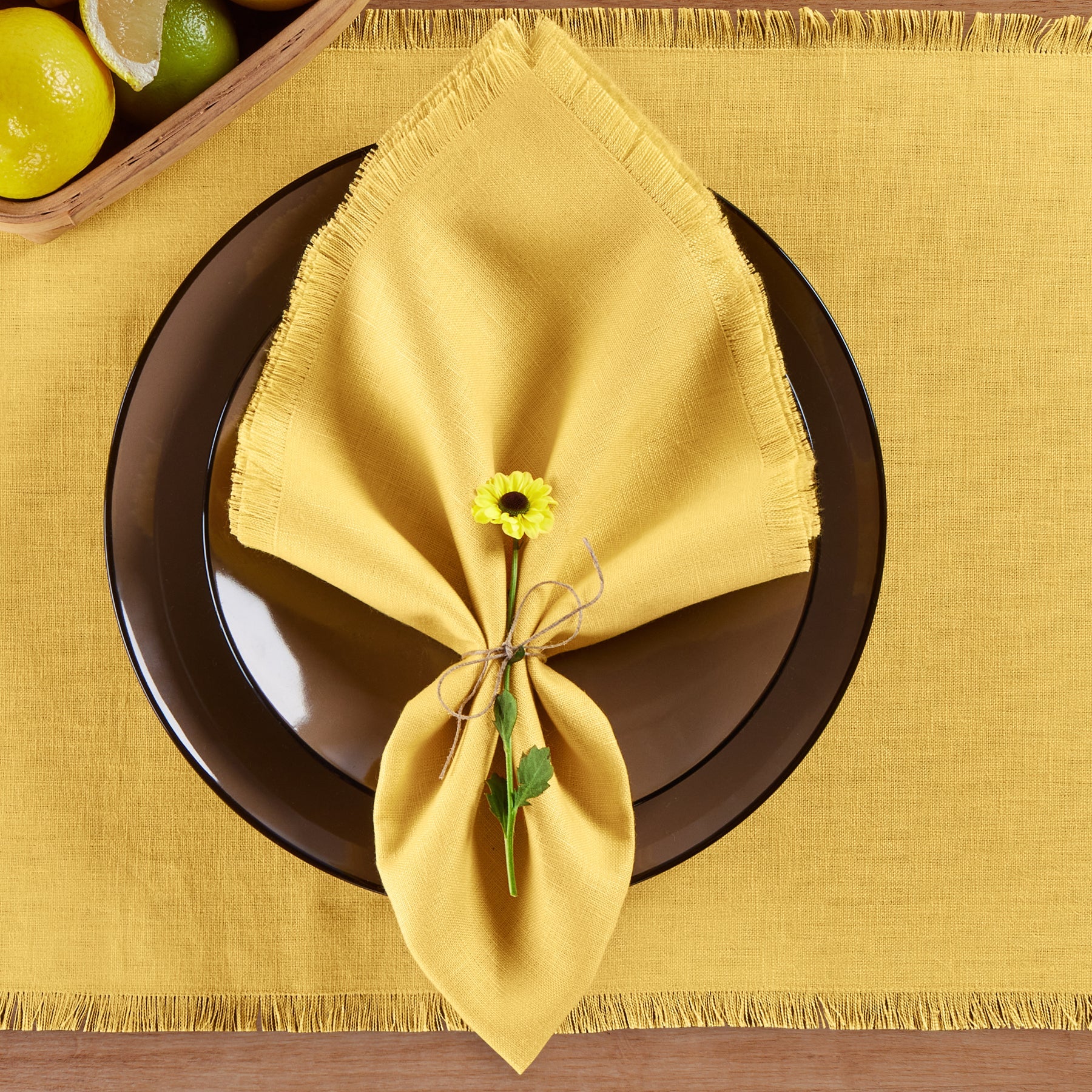 Fringe Napkins, Set of 4