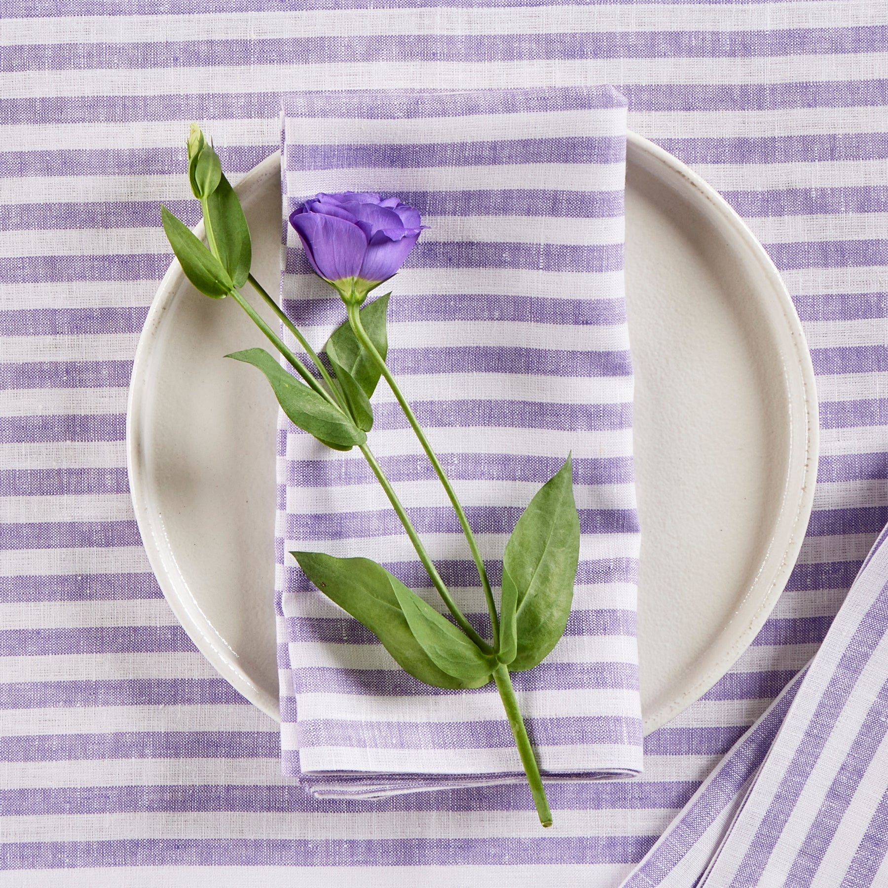 Amalfi Stripe Napkins