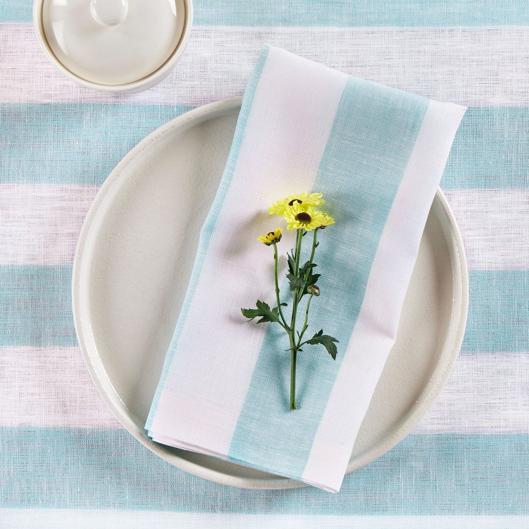 Cabana Stripe Napkins