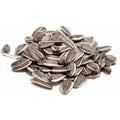 In Shell Roasted Salted Sunflower