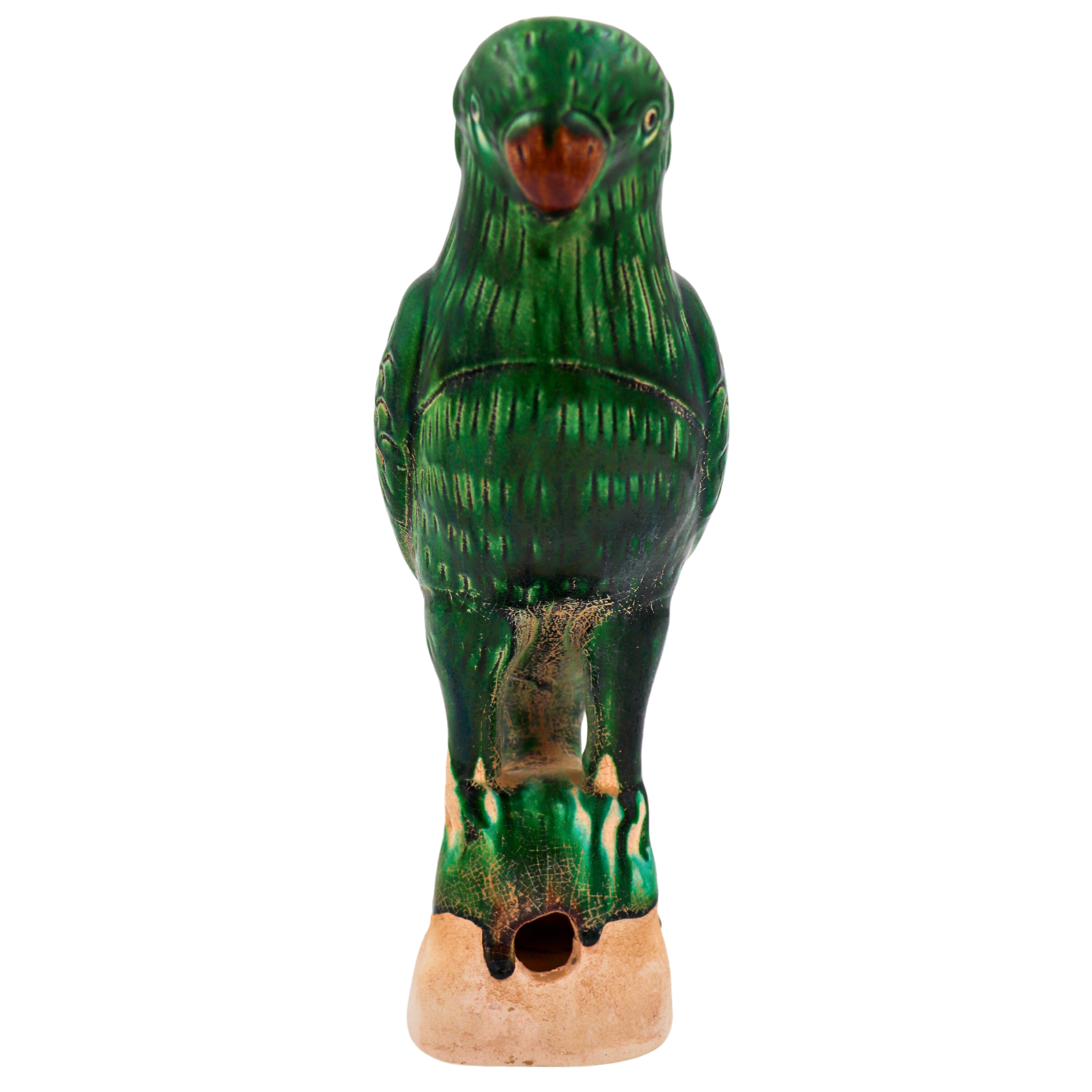 Verde Voyager Parrot