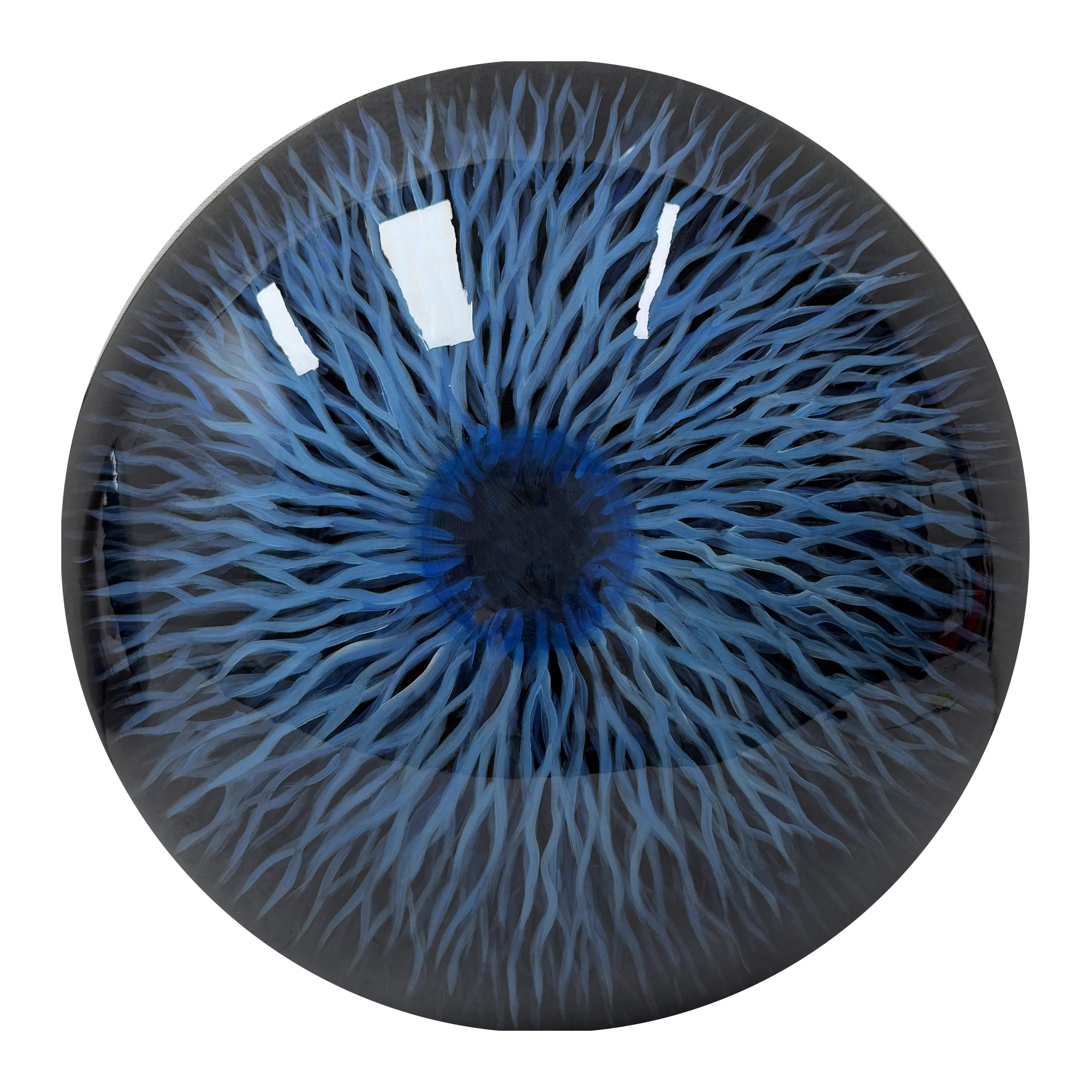 Nova Bloom