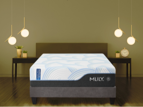 WellFlex Ice Plusher