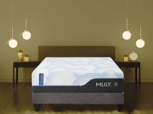 WellFlex Ice Firmer