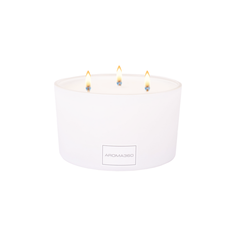 Iris 3-Wick Candle