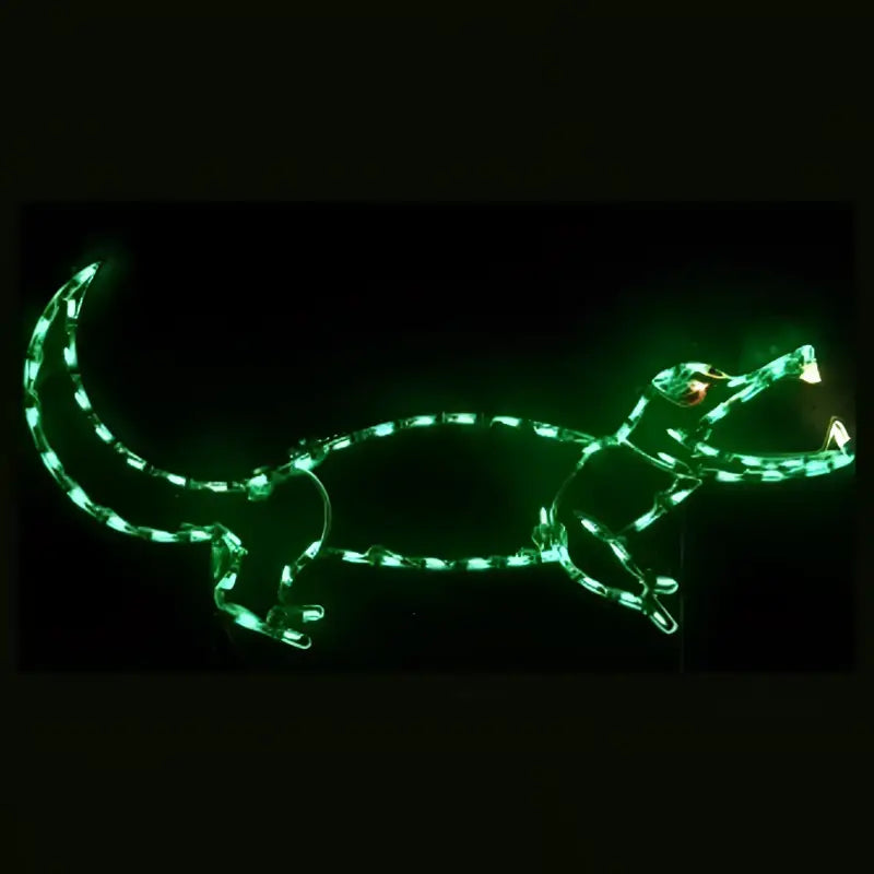 Alligator, Gator Small