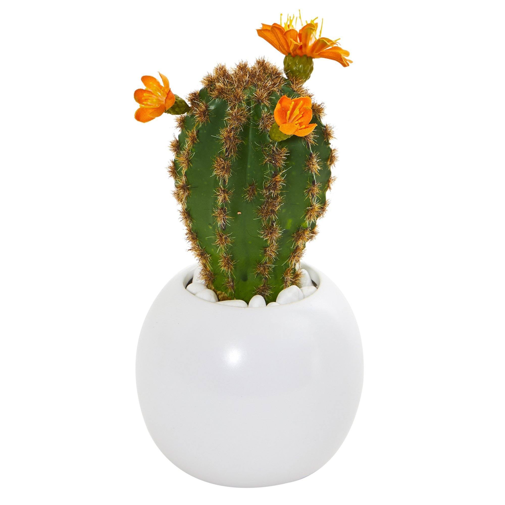 10” Mix Succulent Artificial Plant in White Planter (Set of 3)