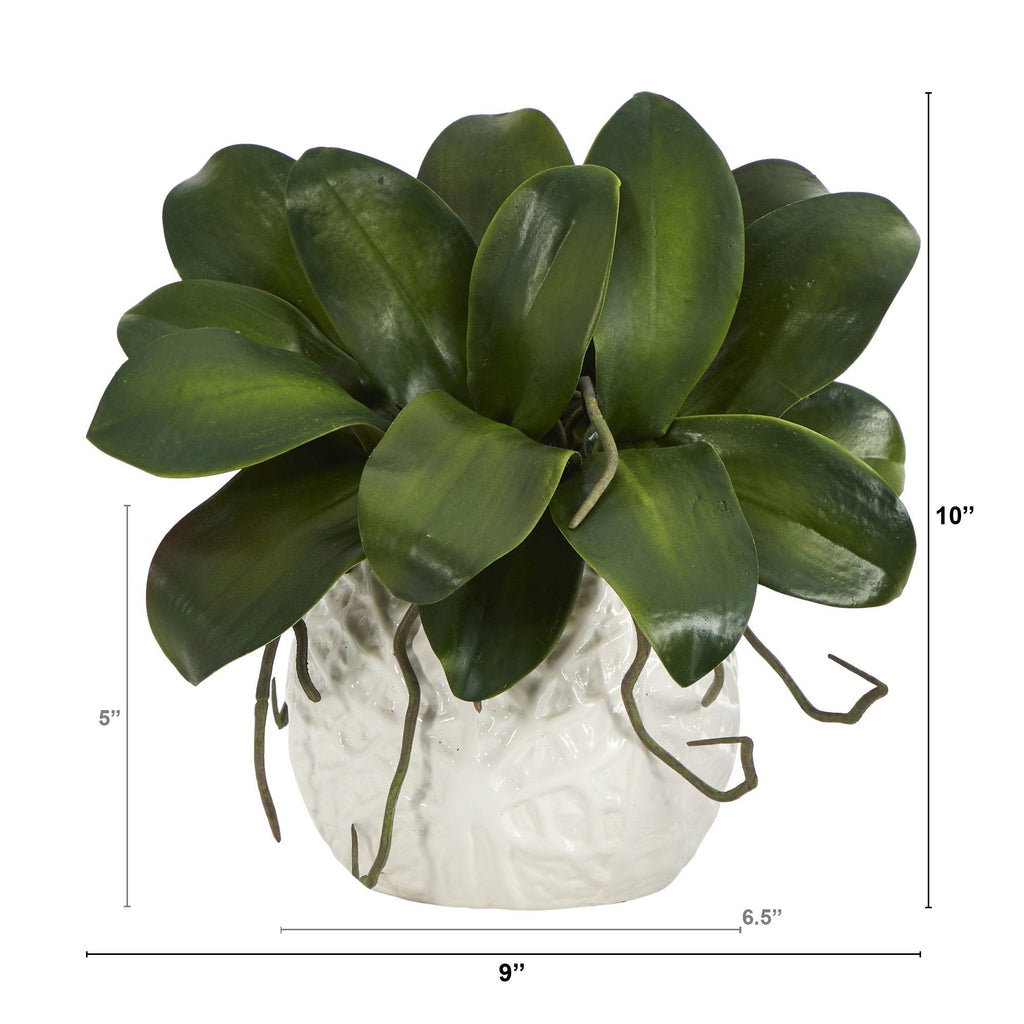 10” Phalaenopsis Orchid Leaf Artificial Plant in White Planter