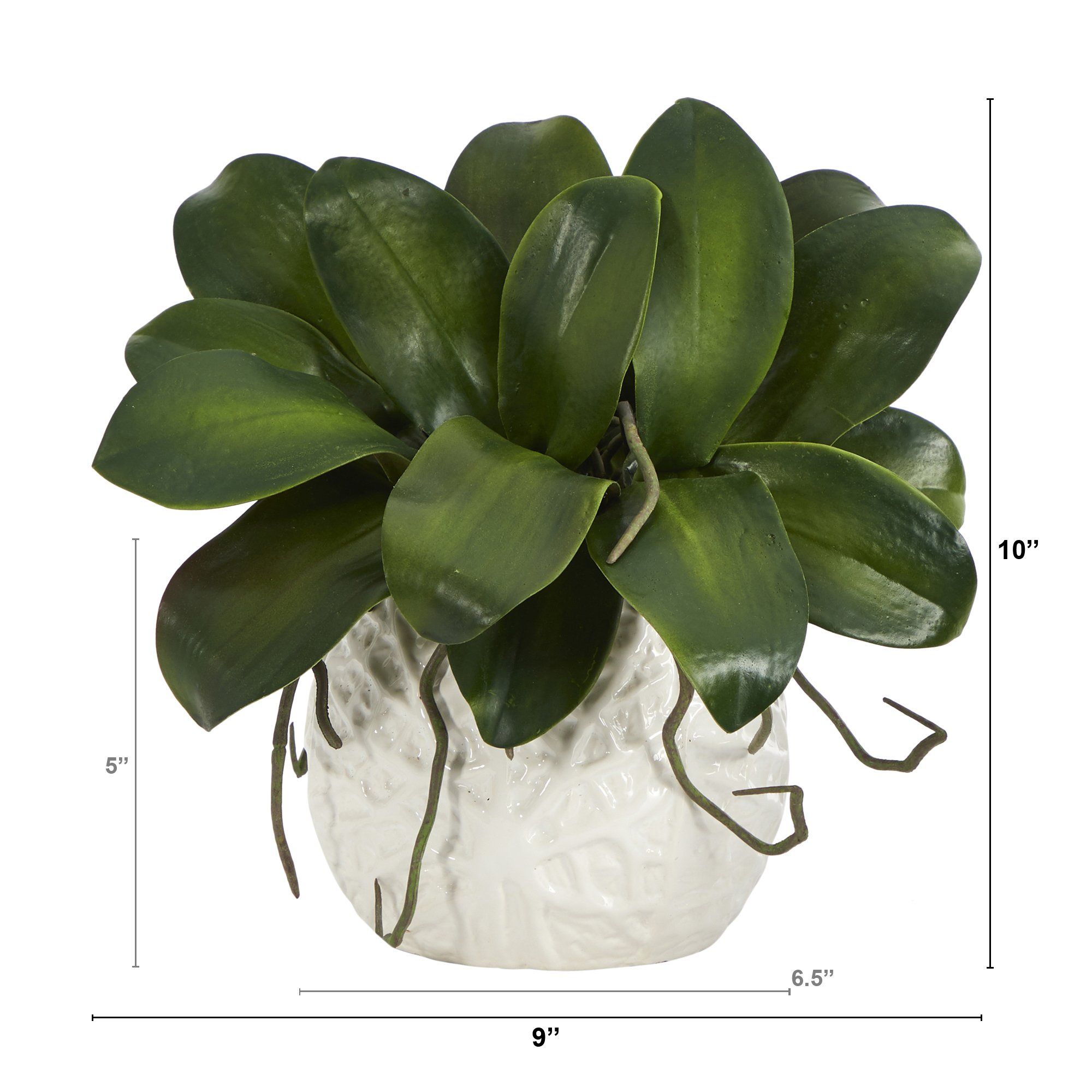 10” Phalaenopsis Orchid Leaf Artificial Plant in White Planter