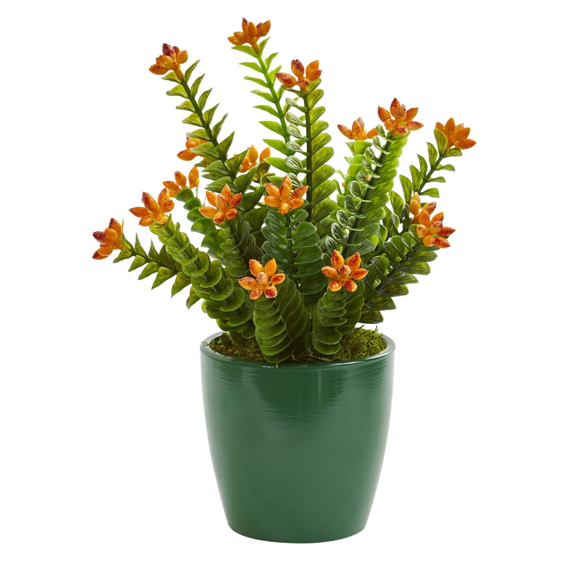 10" Sedum Succulent Artificial Plant in Green Planter (Set of 2)"