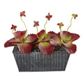 10” Succulent Artificial Plant in Embossed Tin Planter