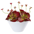 10” Succulent Artificial Plant in White Bowl