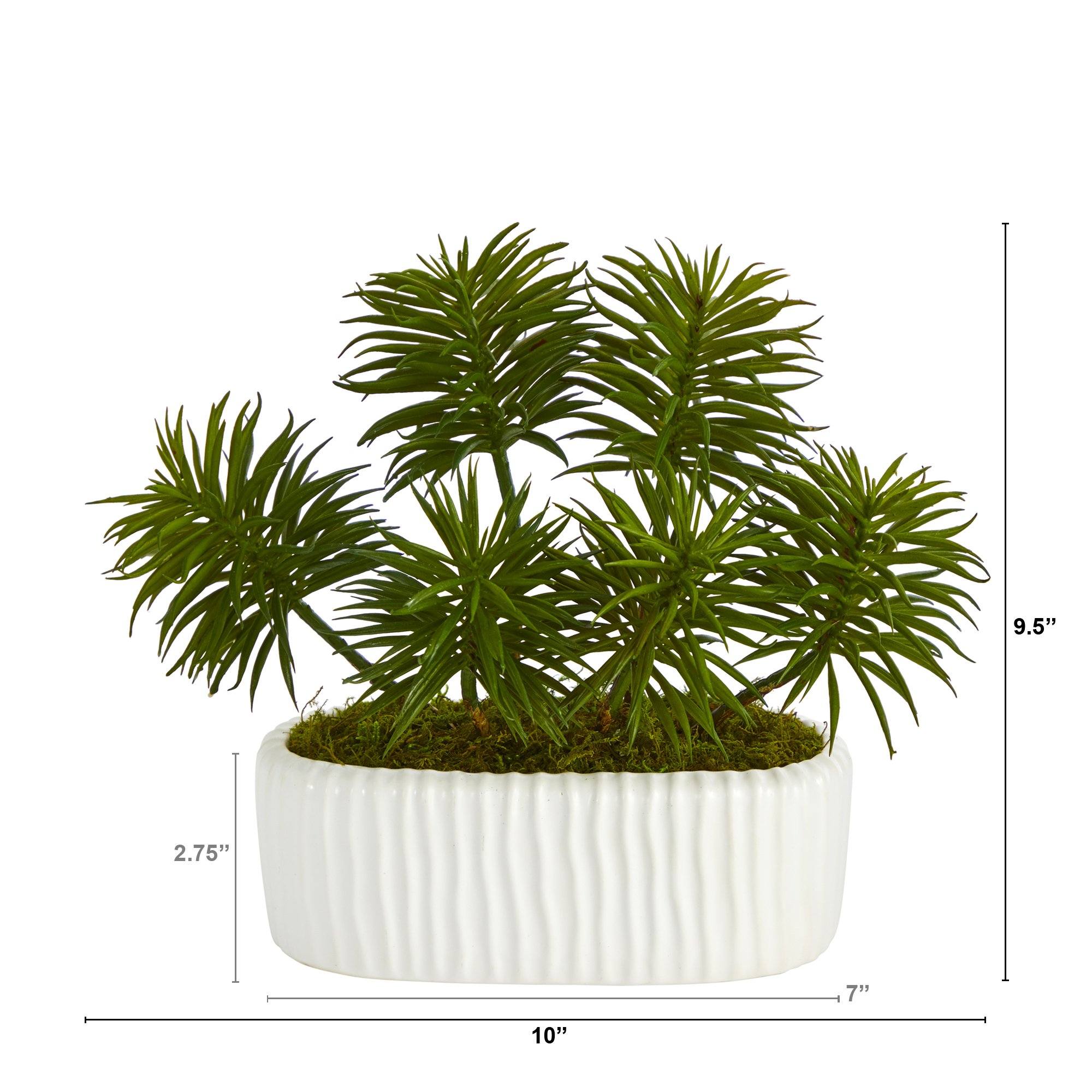 10” Succulent Artificial Plant in White Planter