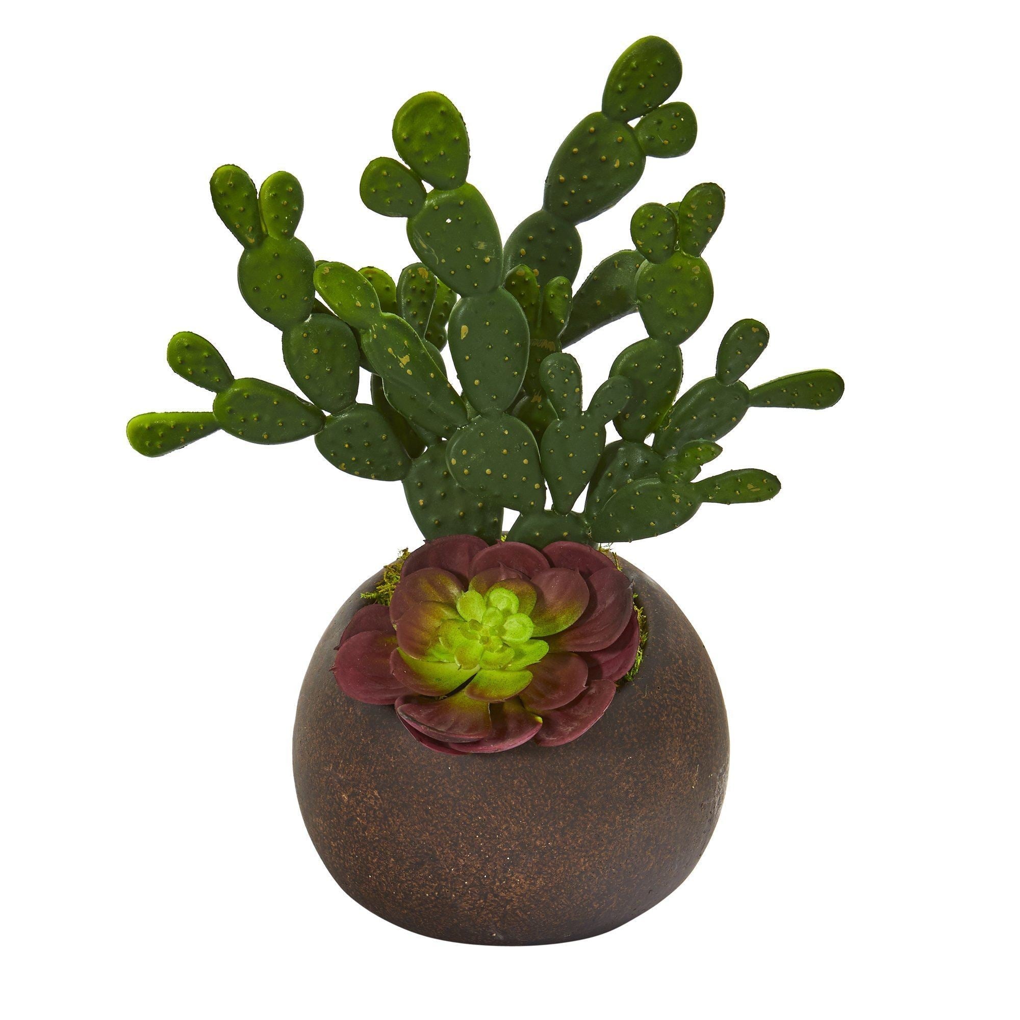 11” Cactus and Echeveria Succulent Artificial Plant in Stone Planter
