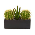 11” Cactus Succulent Artificial Plant in Black Planter