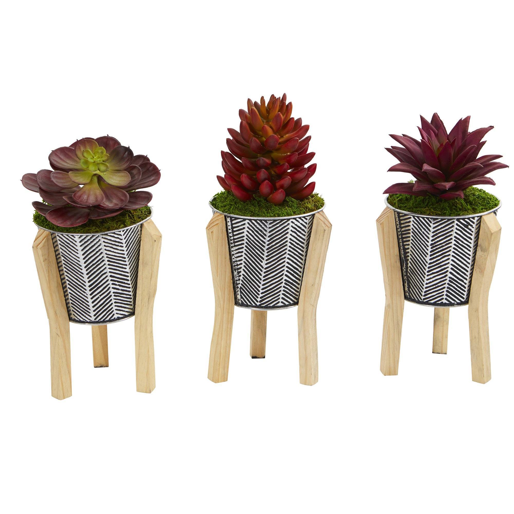 11” Mixed Succulent Artificial Plant in Tin Planter with Legs (Set of 3)