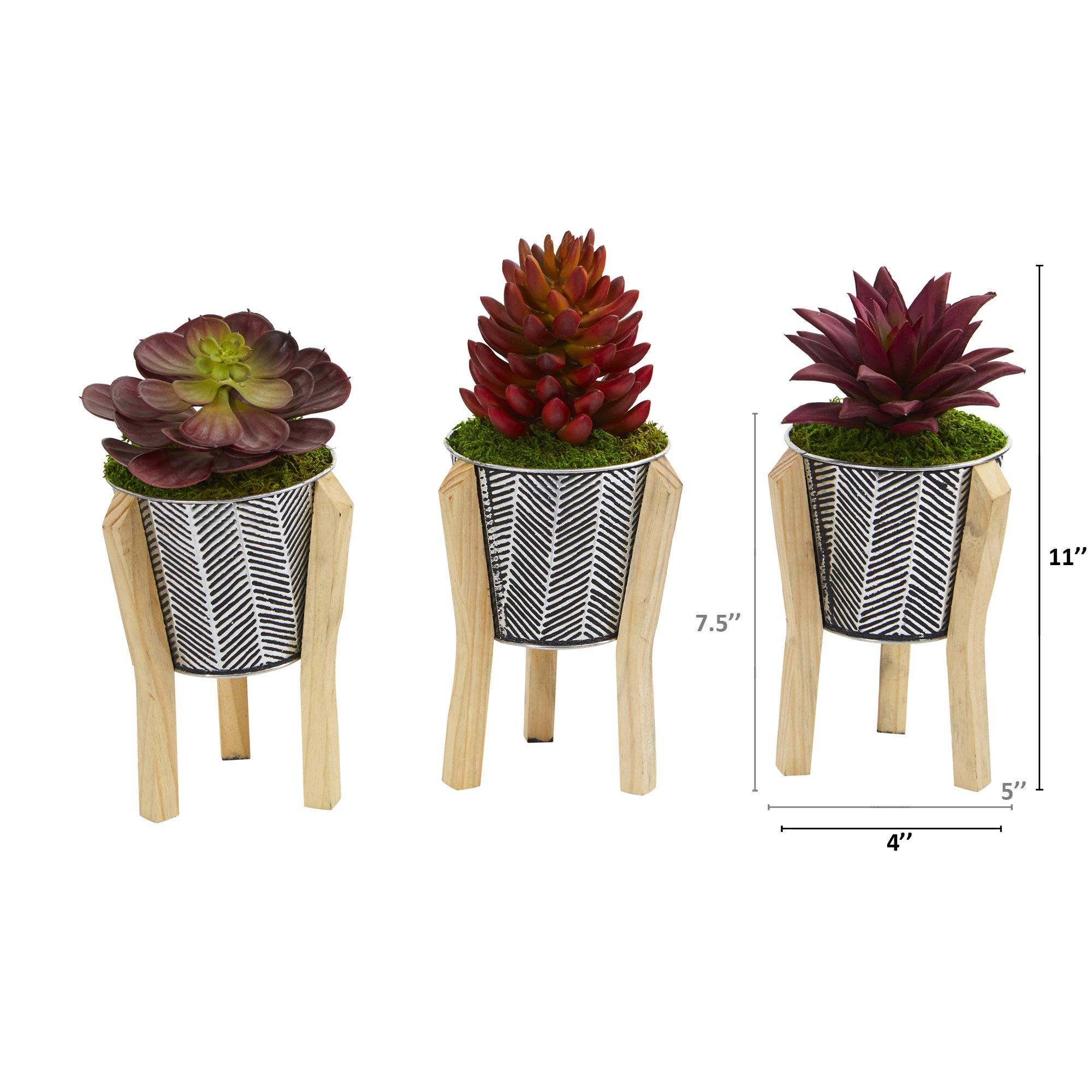 11” Mixed Succulent Artificial Plant in Tin Planter with Legs (Set of 3)