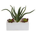 12” Aloe and Echeveria Succulent Artificial Plant in White Planter