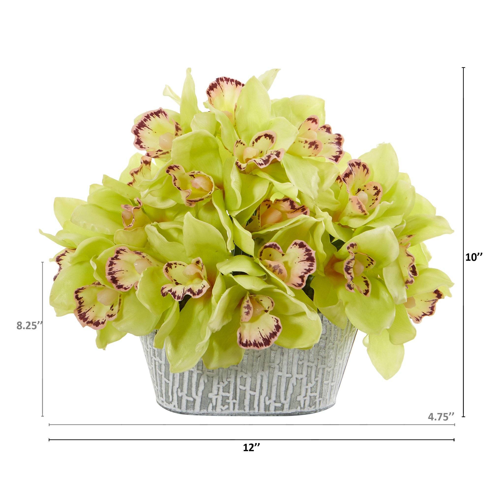 12” Cymbidium Orchid Arrangement in Tin White Vase