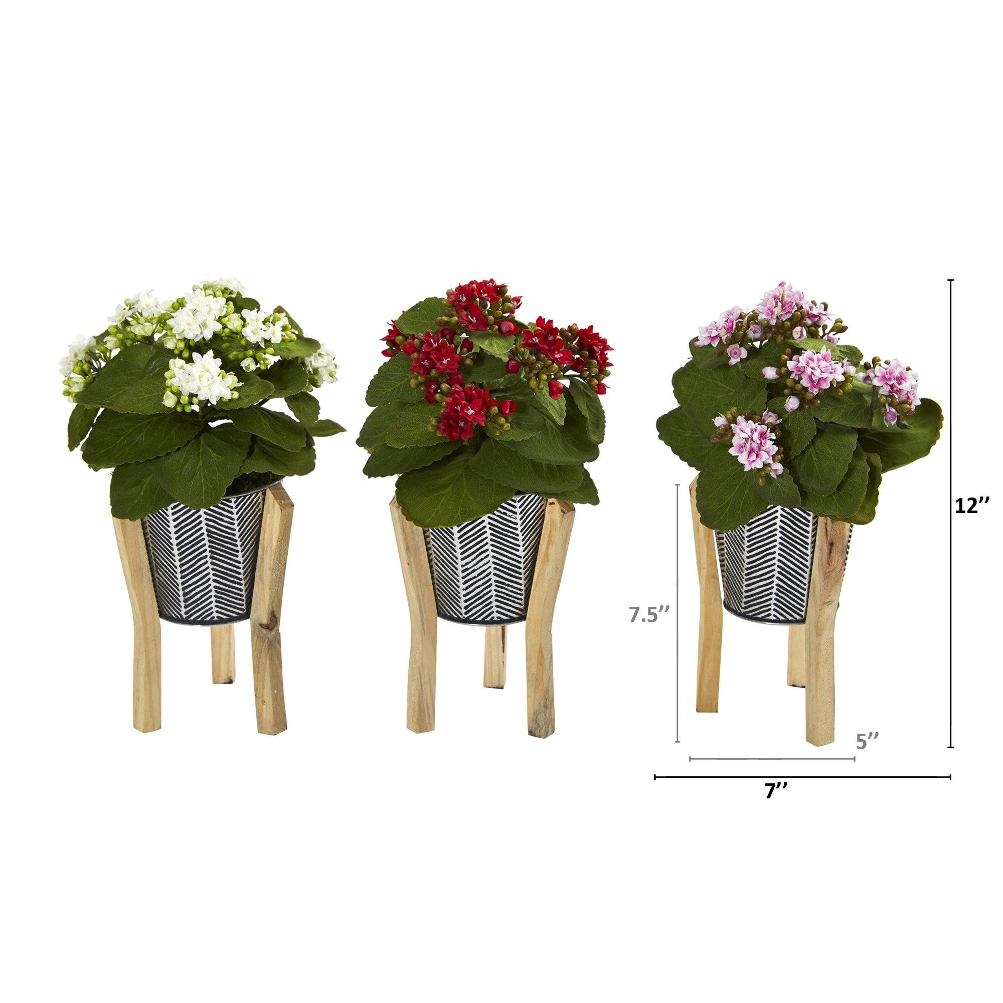 12” Kalanchoe Plant in Tin Planter with Legs (Set of 3)
