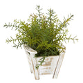12” Rosemary Artificial Plant in Chair Planter
