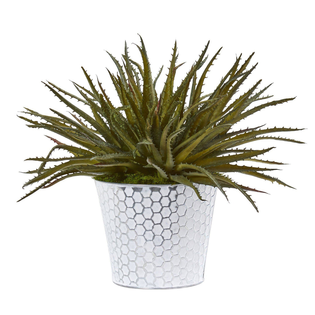 13” Aloe Artificial Plant in White Embossed Planter