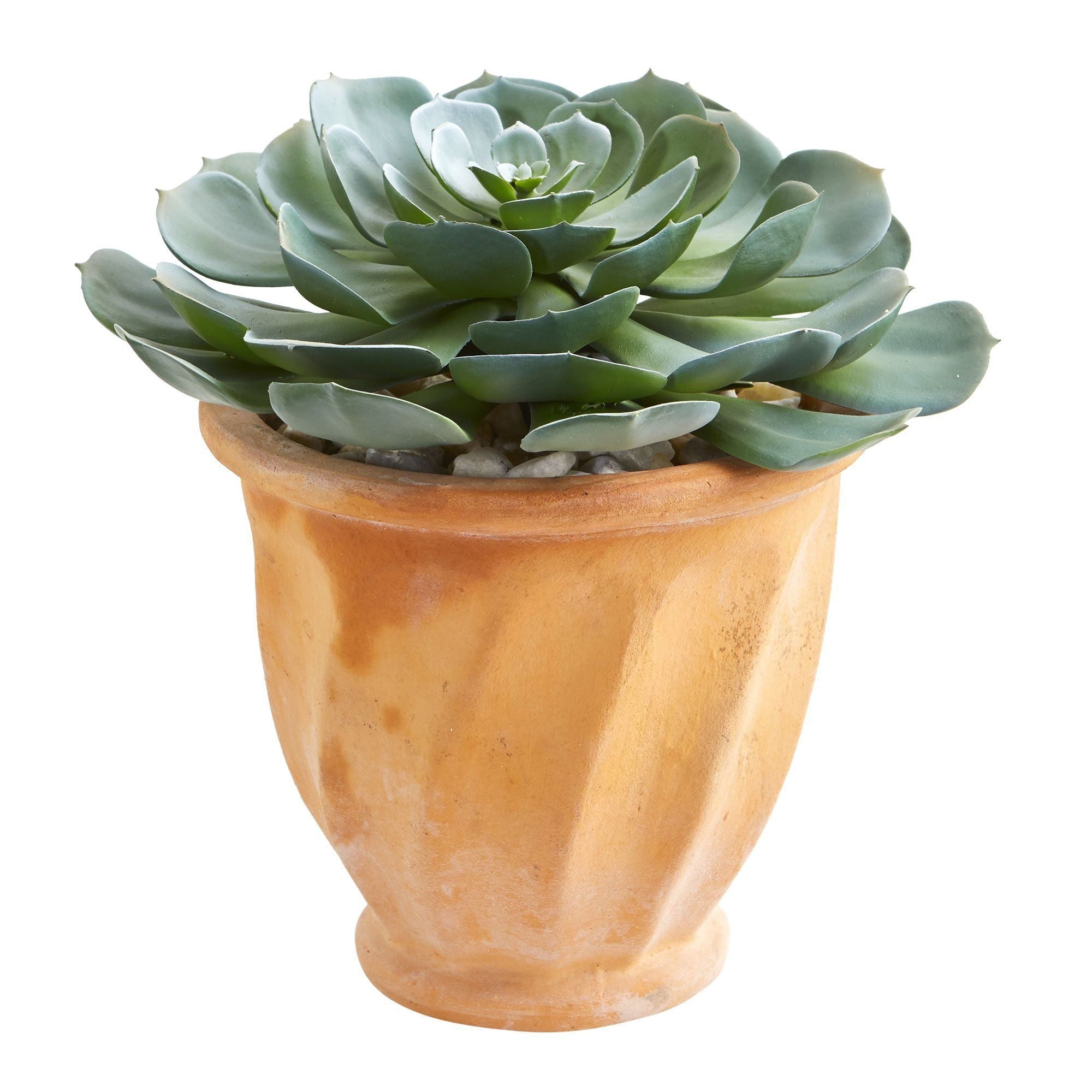 13” Giant Echeveria Succulent Artificial Plant in Terra Cotta Planter