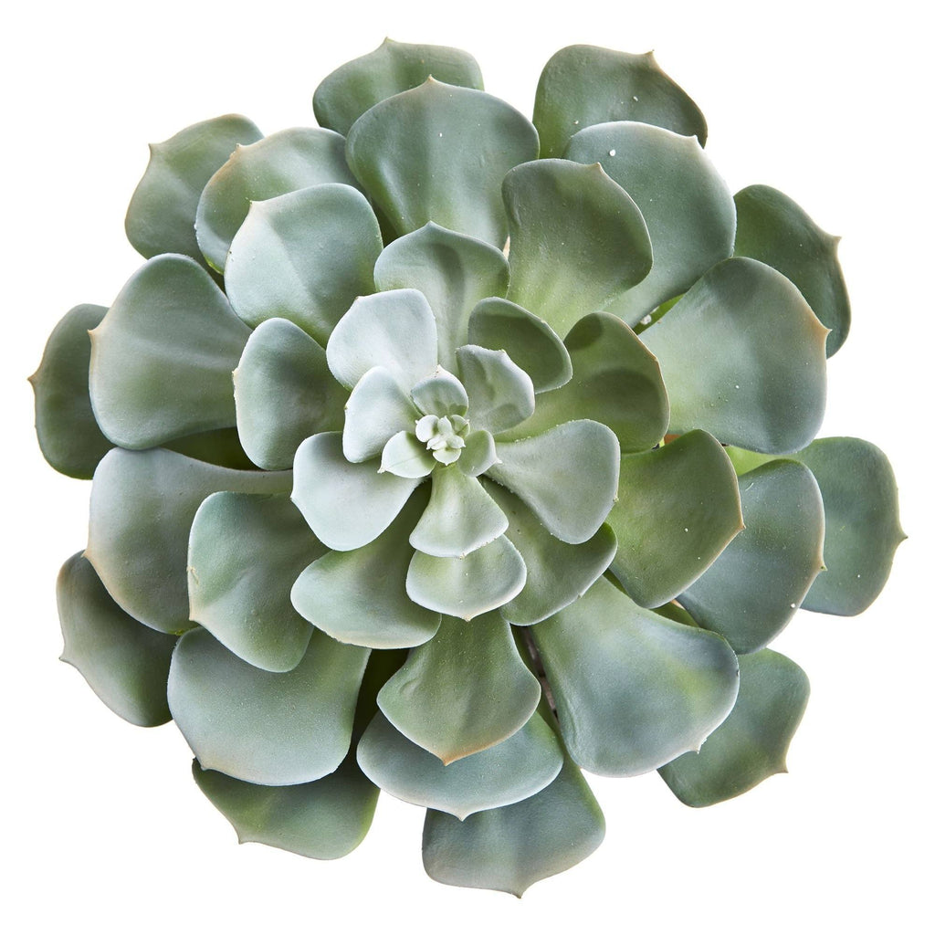 13” Giant Echeveria Succulent Artificial Plant in Terra Cotta Planter