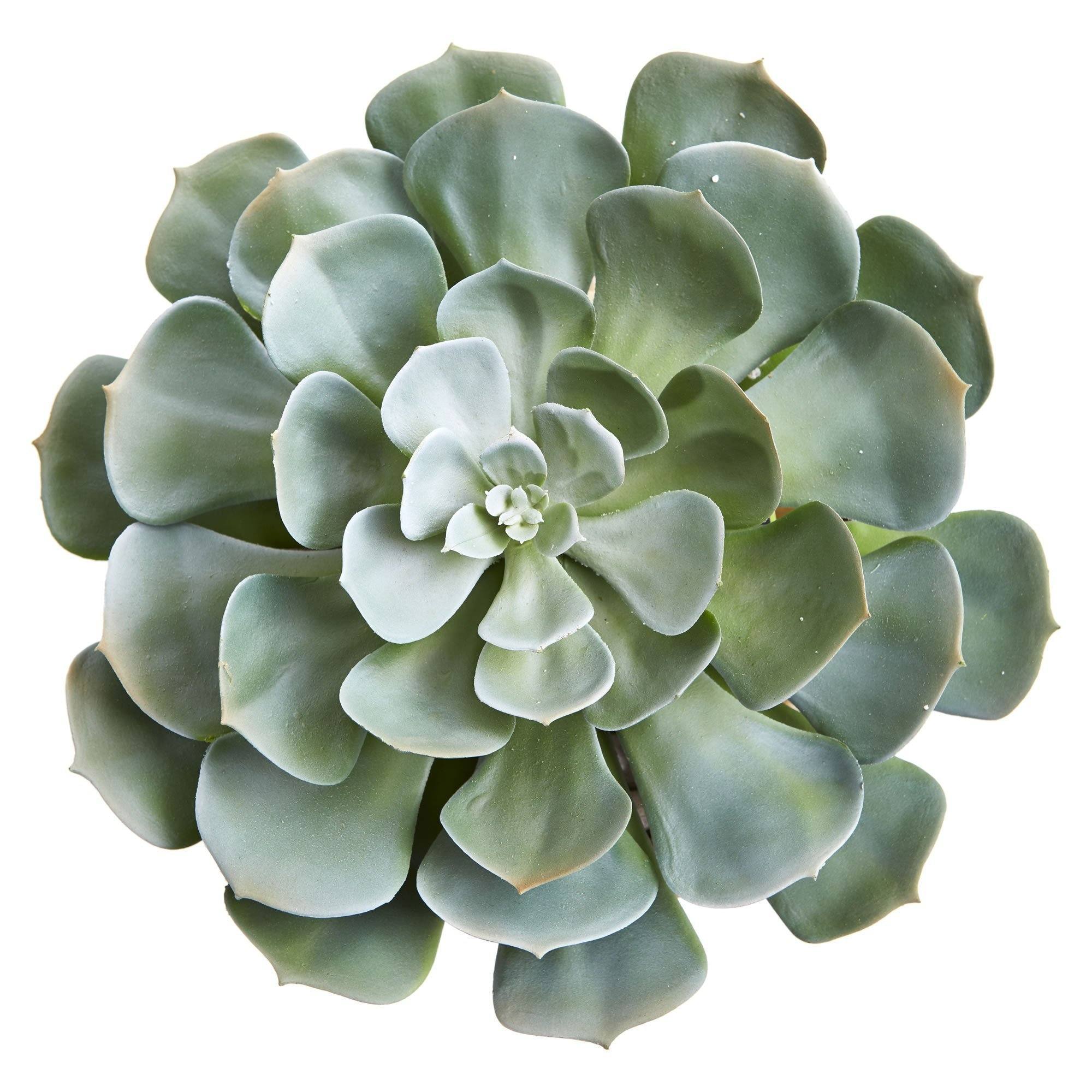 13” Giant Echeveria Succulent Artificial Plant in Terra Cotta Planter