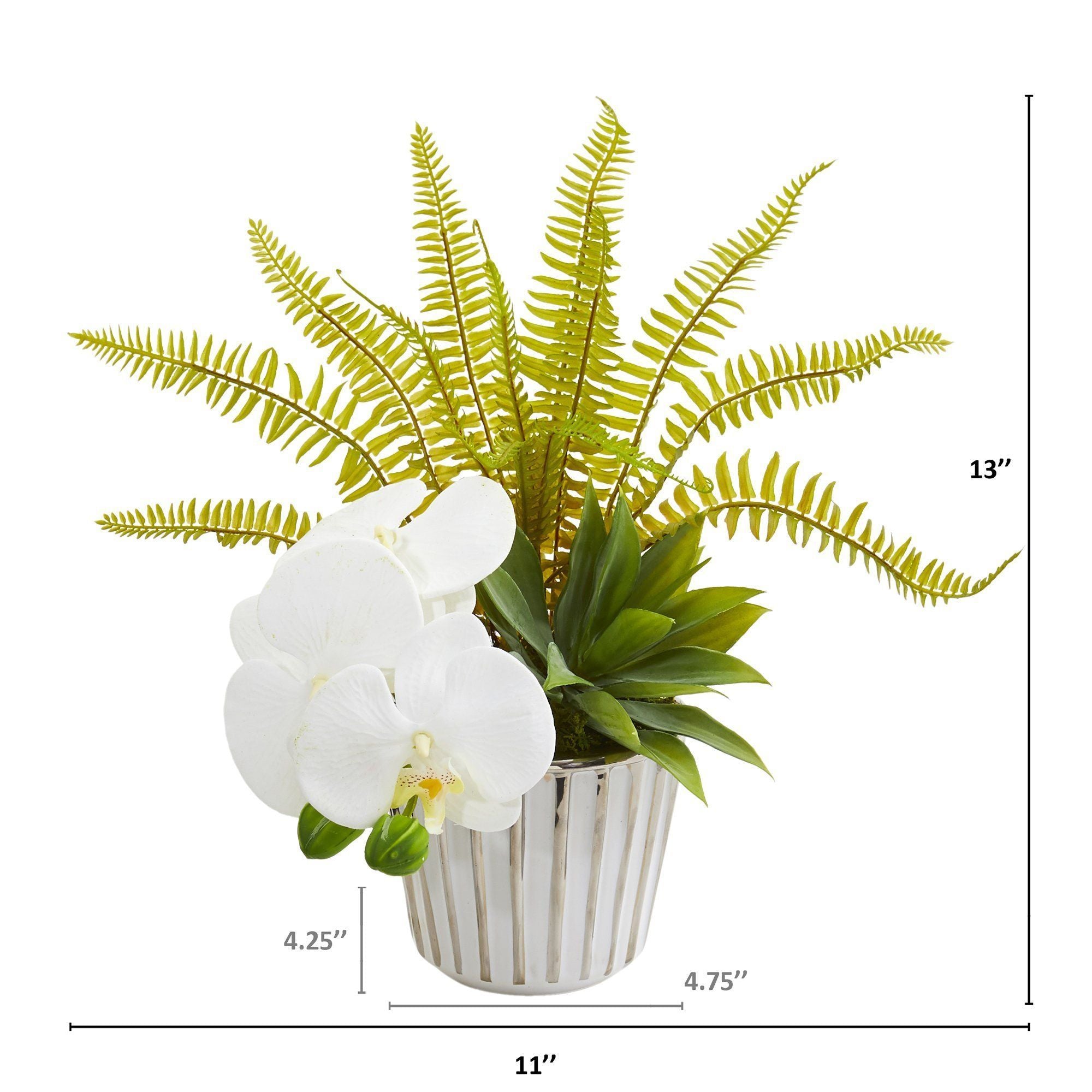 13” Phalaenopsis Orchid, Agave and Fern Artificial Arrangement (Set of 2)
