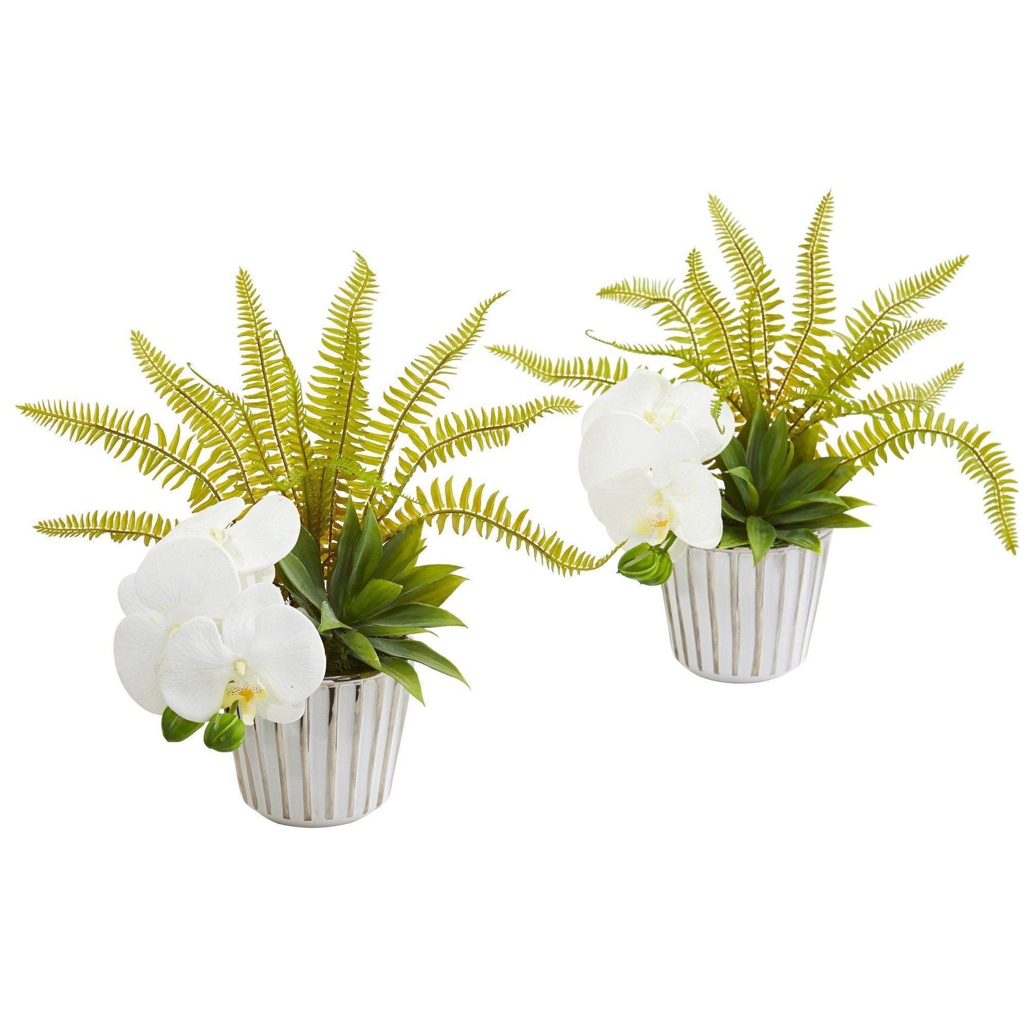13” Phalaenopsis Orchid, Agave and Fern Artificial Arrangement (Set of 2)