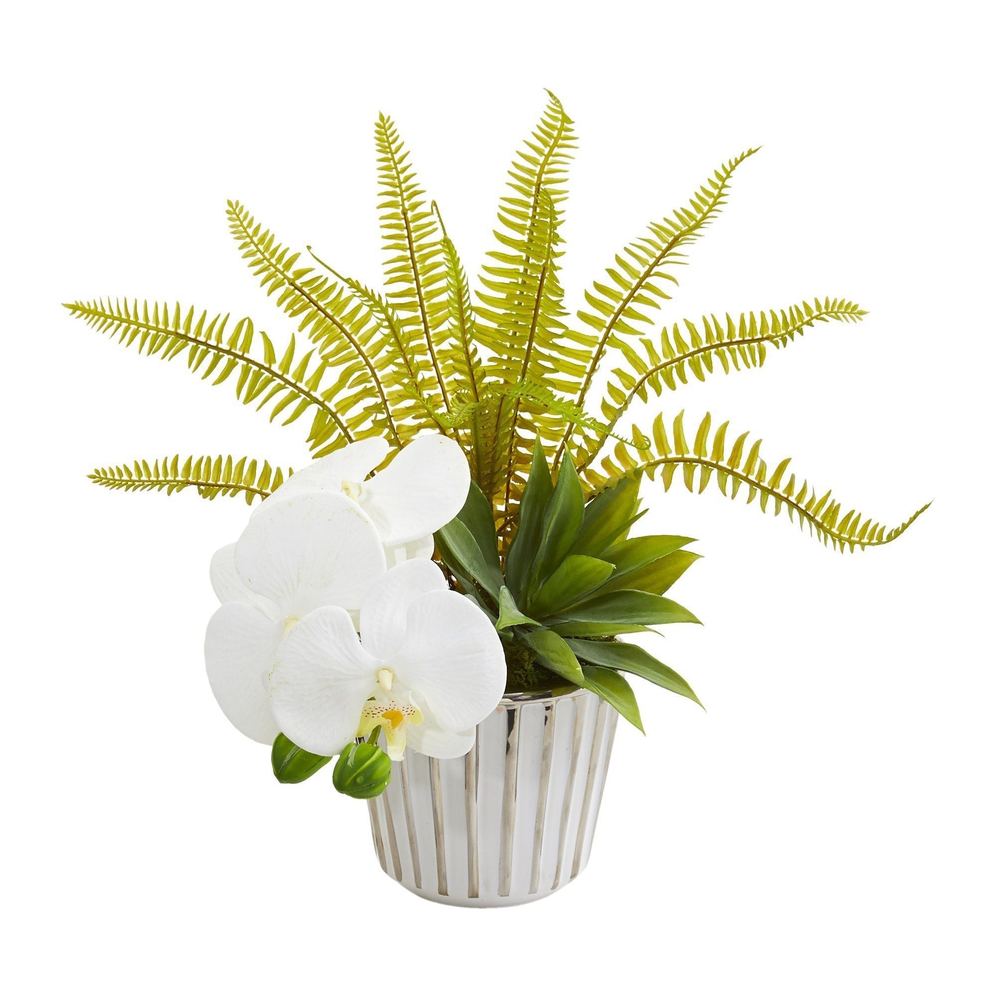 13” Phalaenopsis Orchid, Agave and Fern Artificial Arrangement (Set of 2)