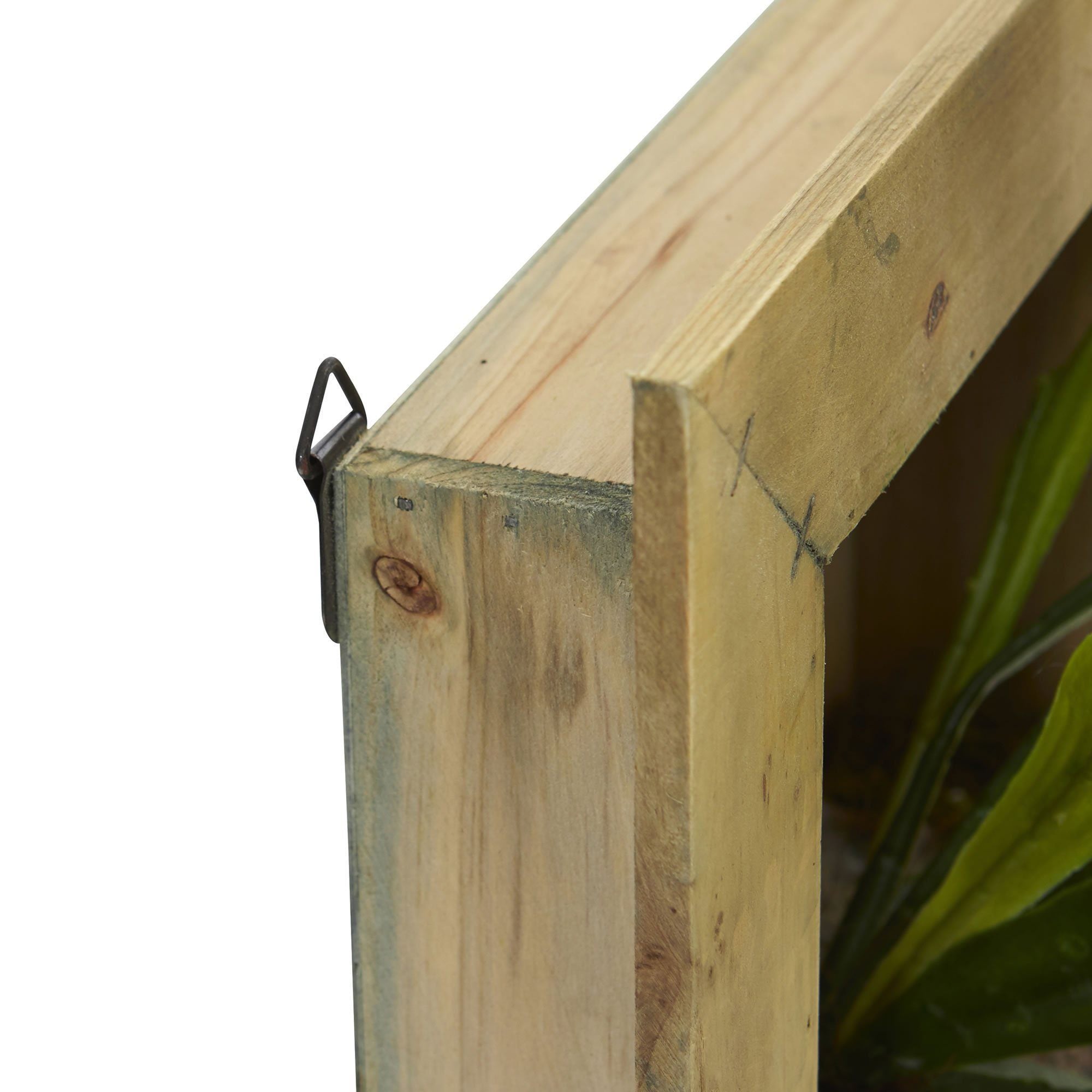 13” Staghorn Artificial Plant in Wood Hanging Frame