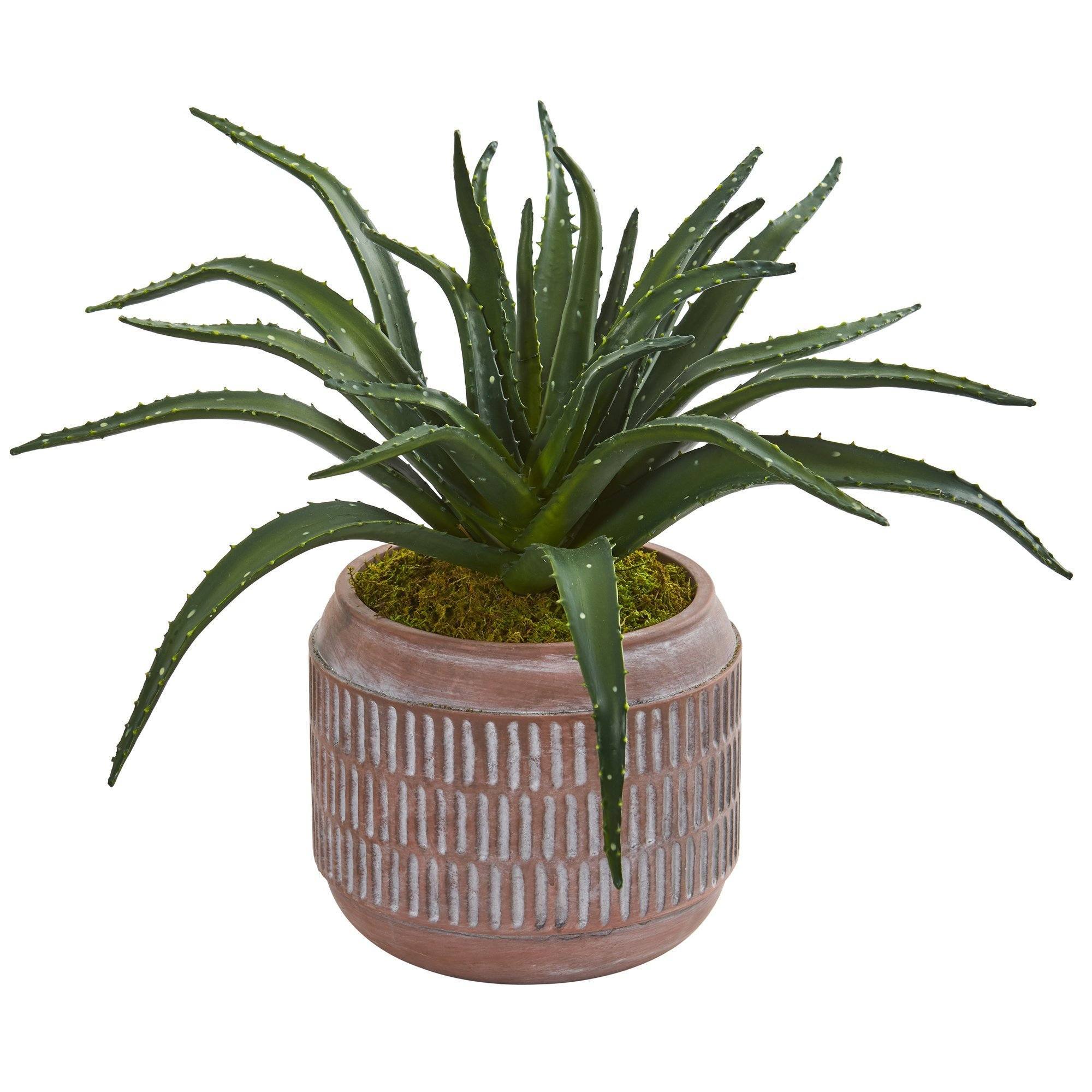 14” Aloe Succulent Artificial Plant in Decorative Planter