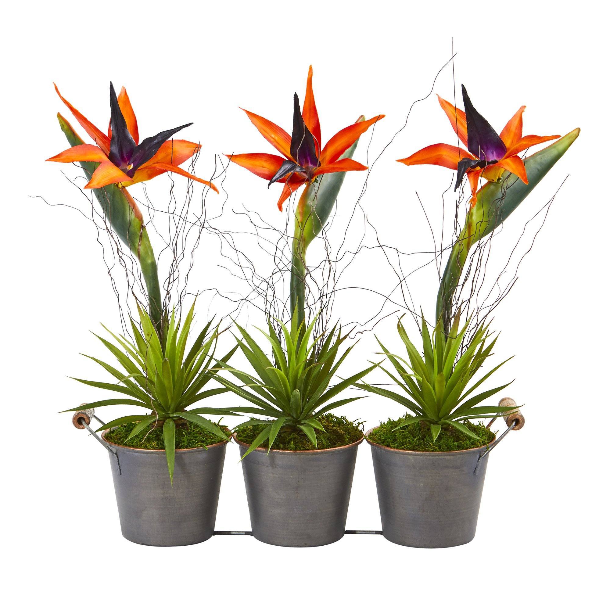 14” Bird of Paradise and Succulent Artificial Arrangement in Trio Metal Planter