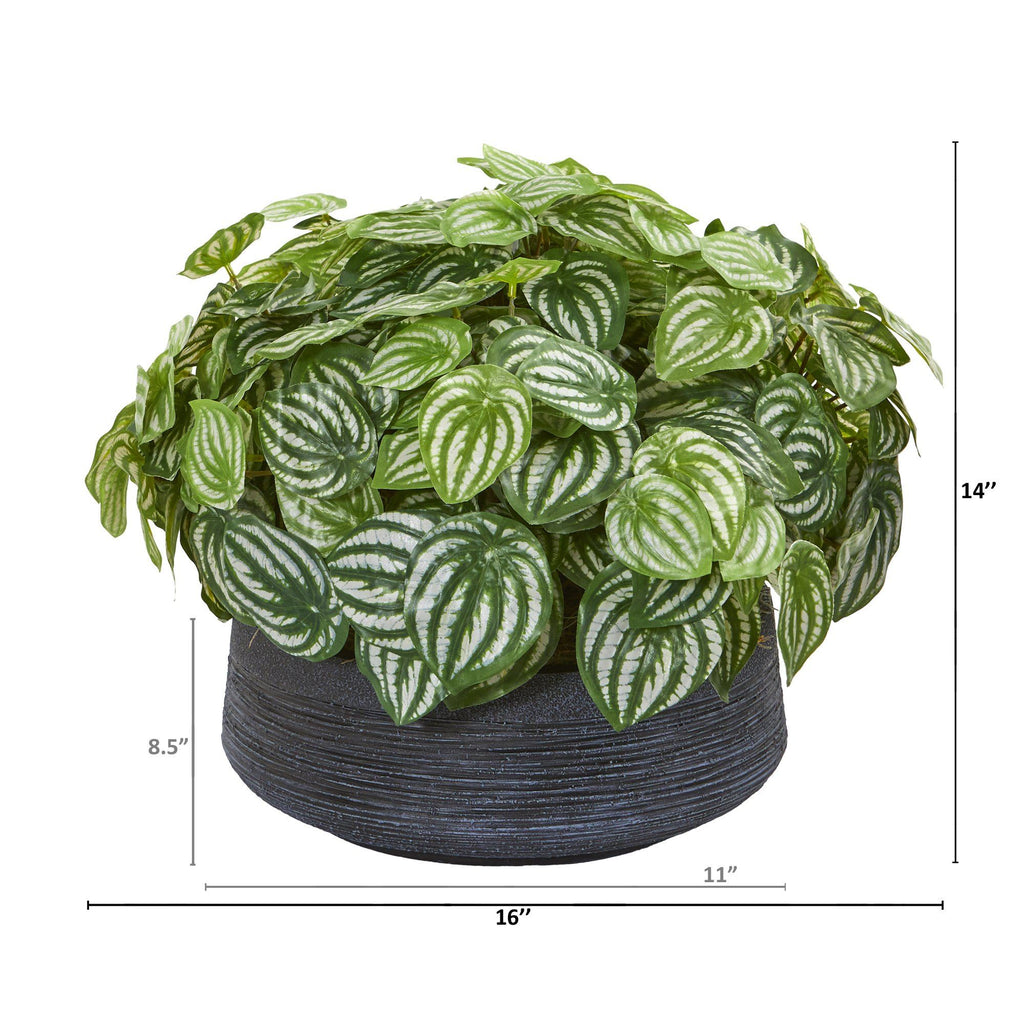 14” Watermelon Peperomia Artificial Plant in Decorative Bowl (Real Touch)