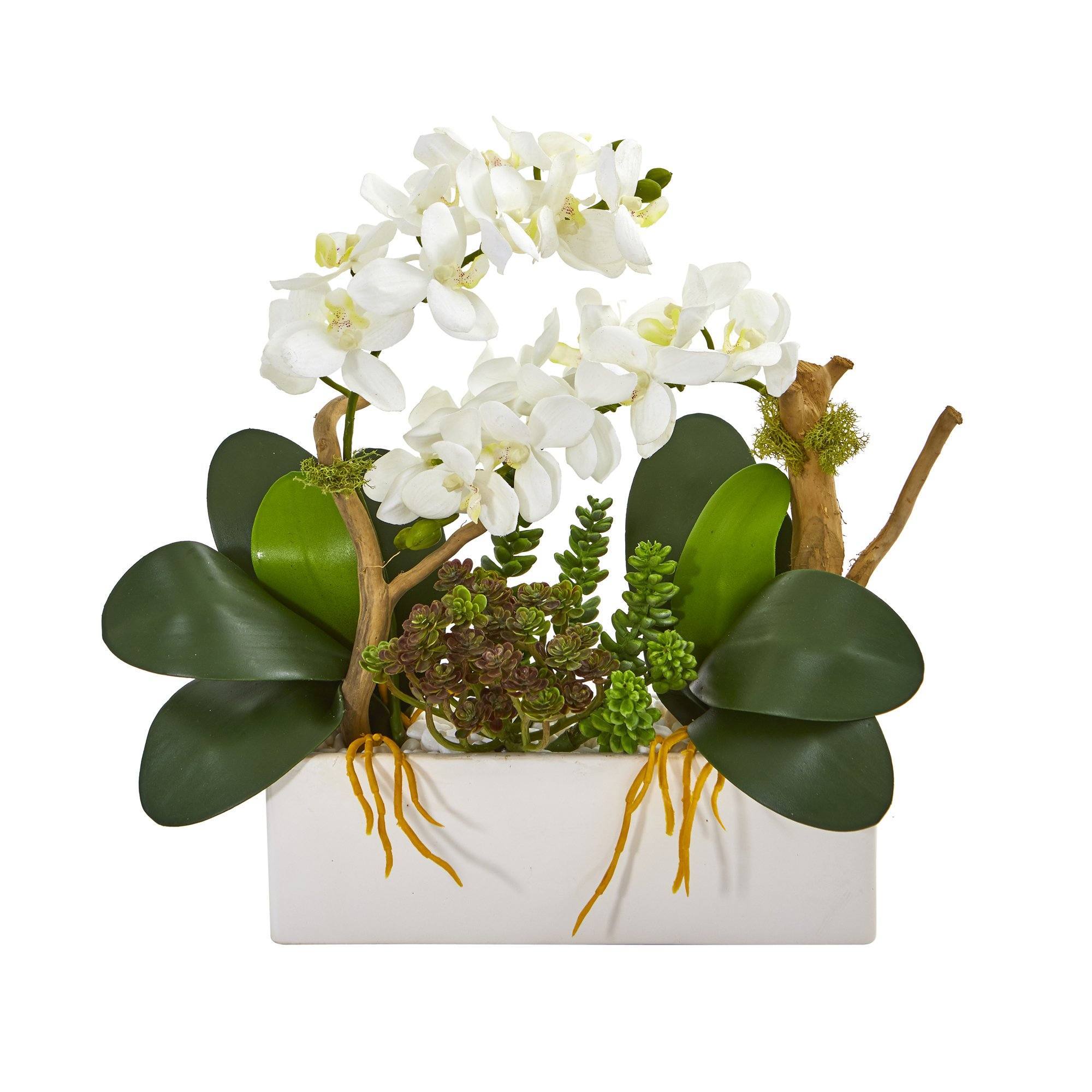 15” Phalaenopsis Orchid and Succulent Artificial Arrangement