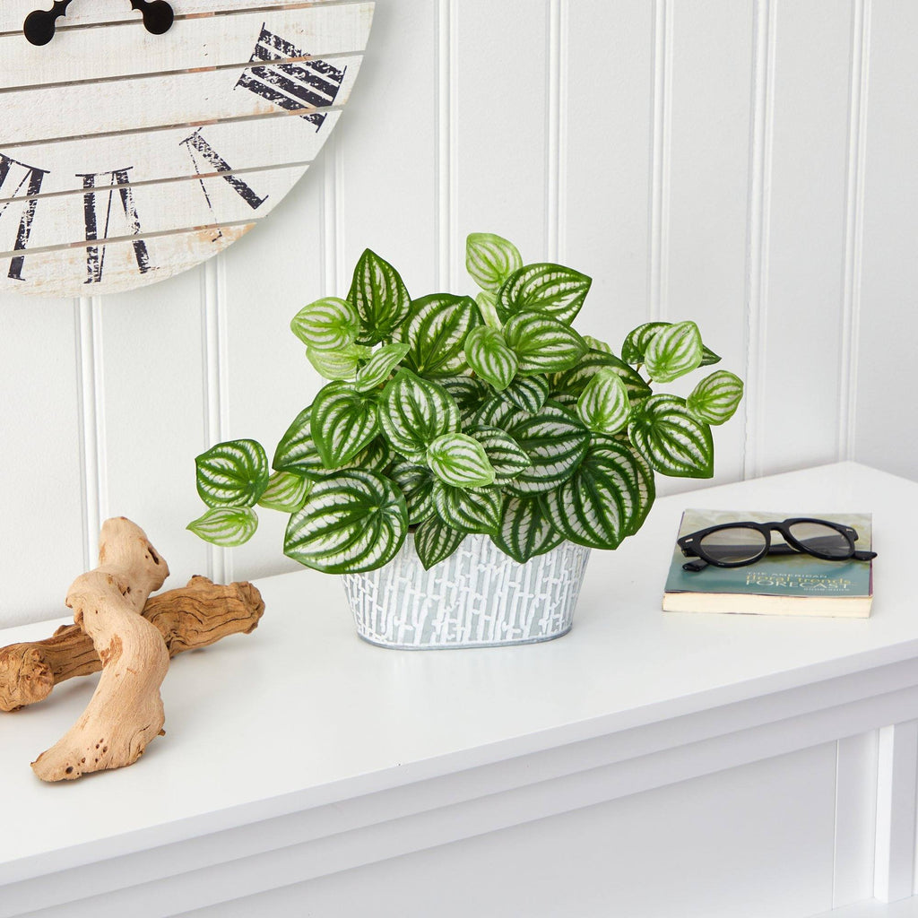 15” Watermelon Peperomia Artificial Plant in White Tin Planter (Real Touch)