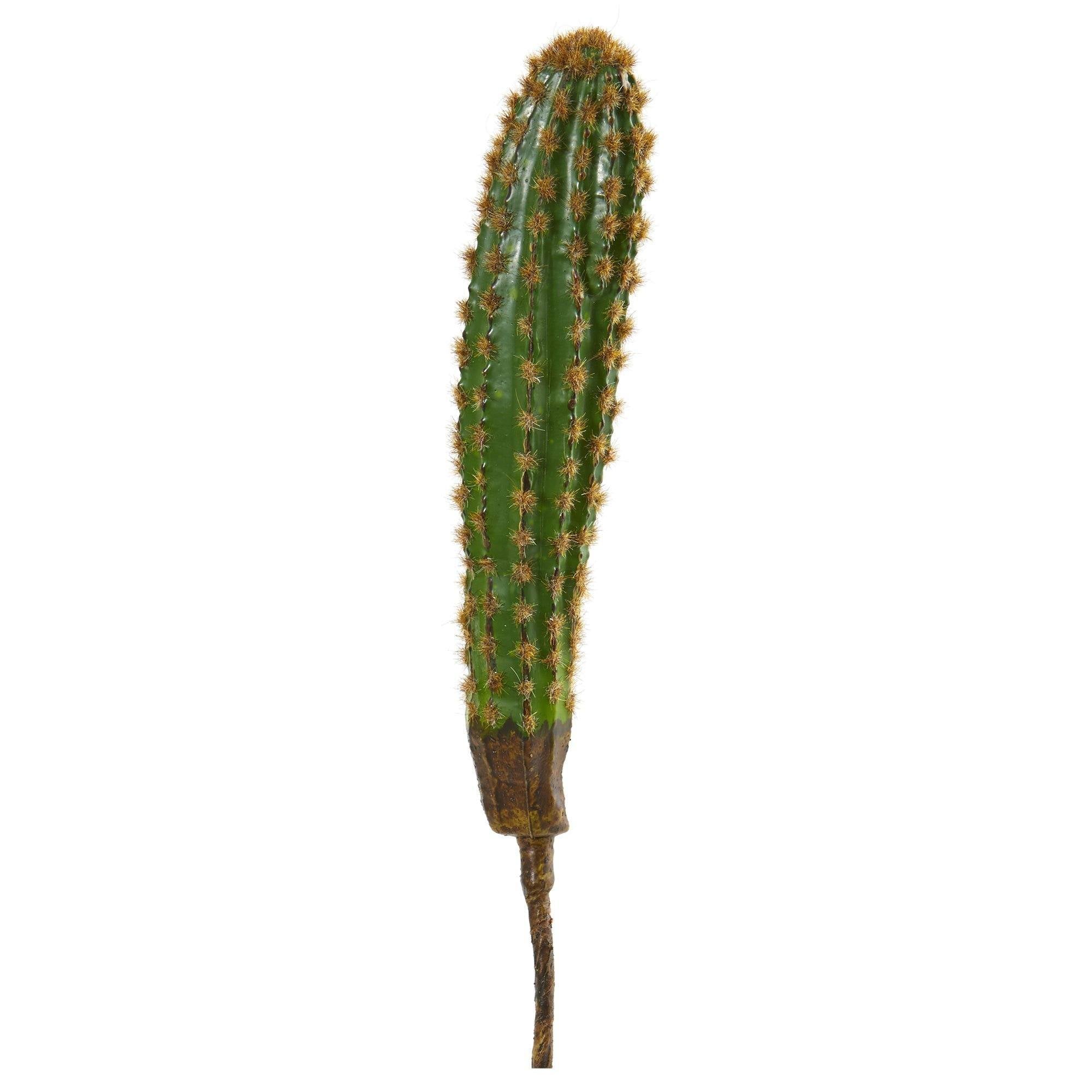 16” Cactus Artificial Plant (Set of 6)