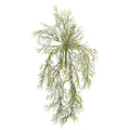 16” Tillandsia Moss Artificial Plant (Set of 12)