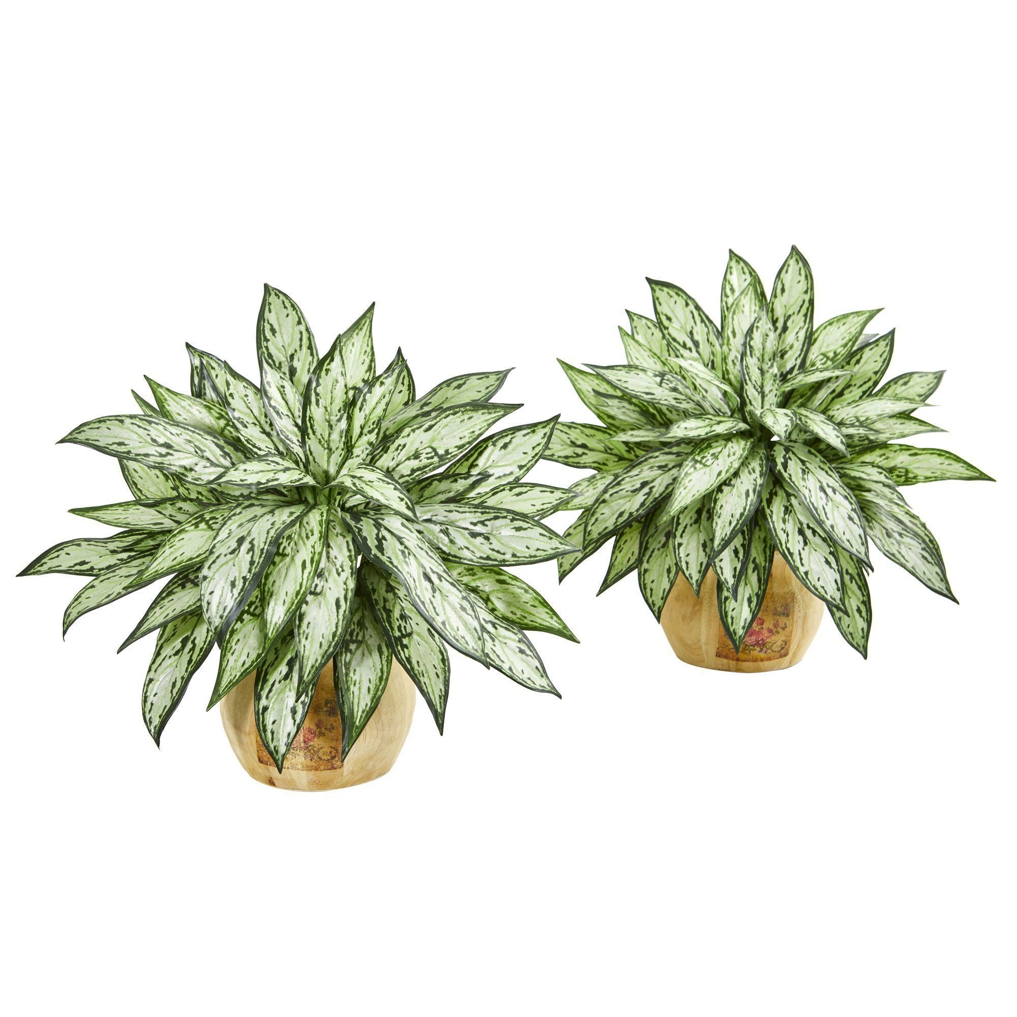 17” Silver Queen Artificial Plant in Decorative Planter (Set of 2)