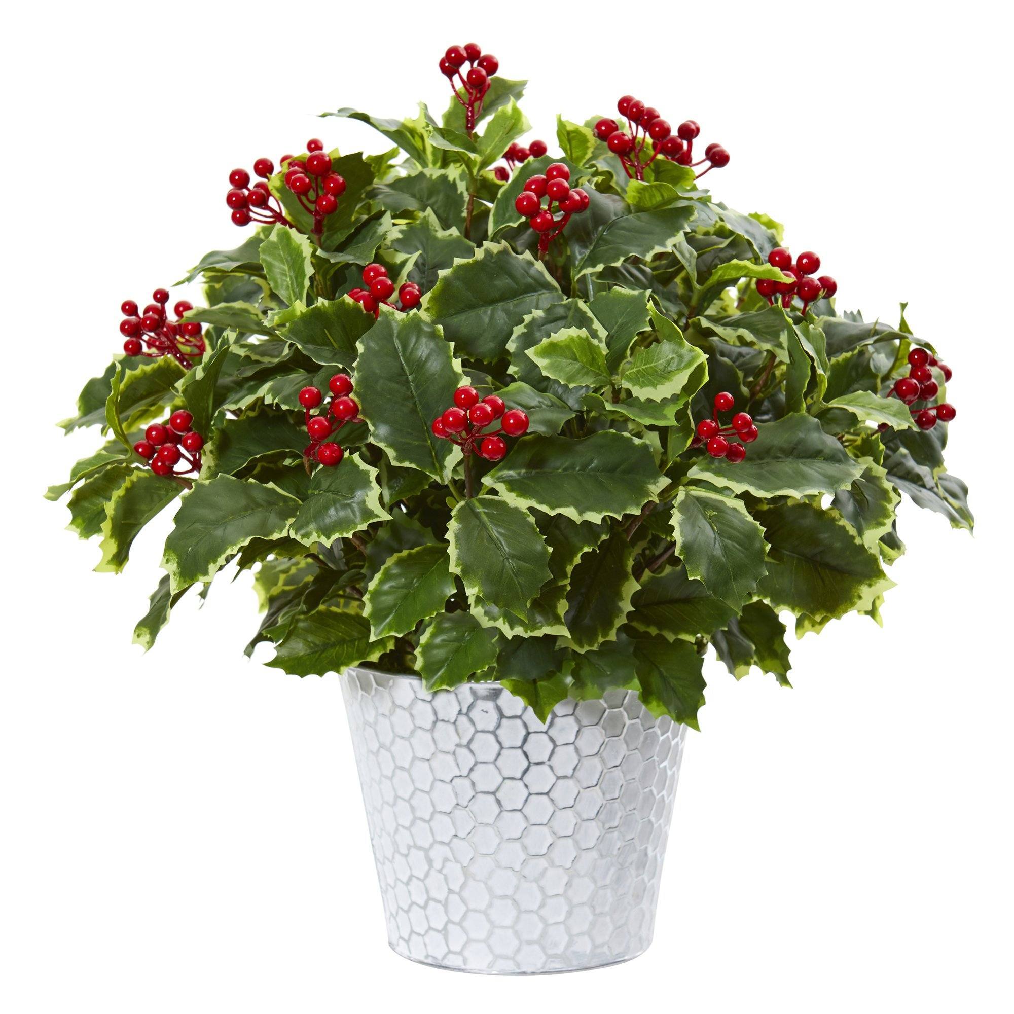 17” Variegated Holly Leaf Artificial Plant in Decorative Planter (Real Touch)