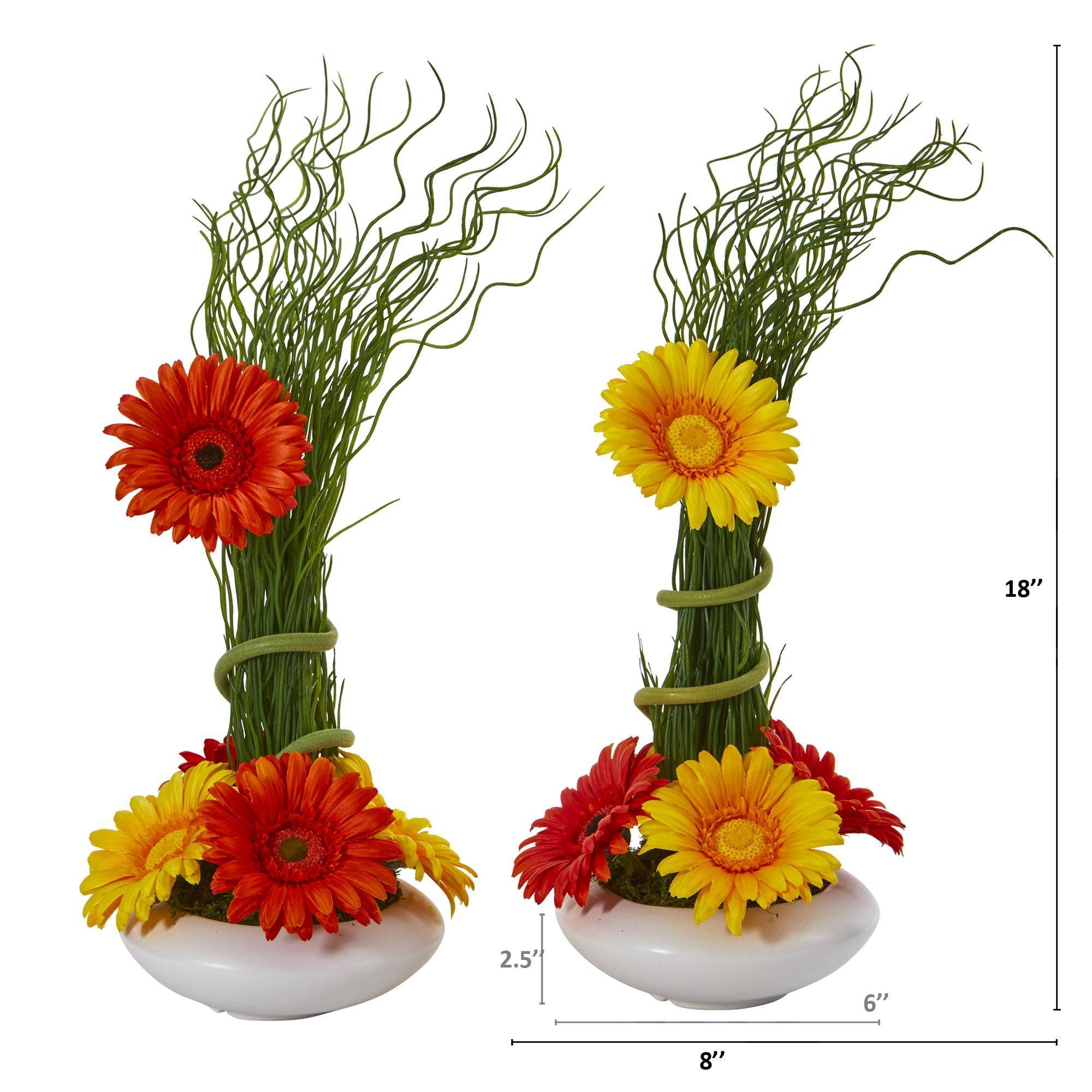 18” Gerber Daisy and Grass Arrangement in Vase (Set of 2)