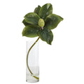 18” Magnolia Artificial Plant in Glass Planter