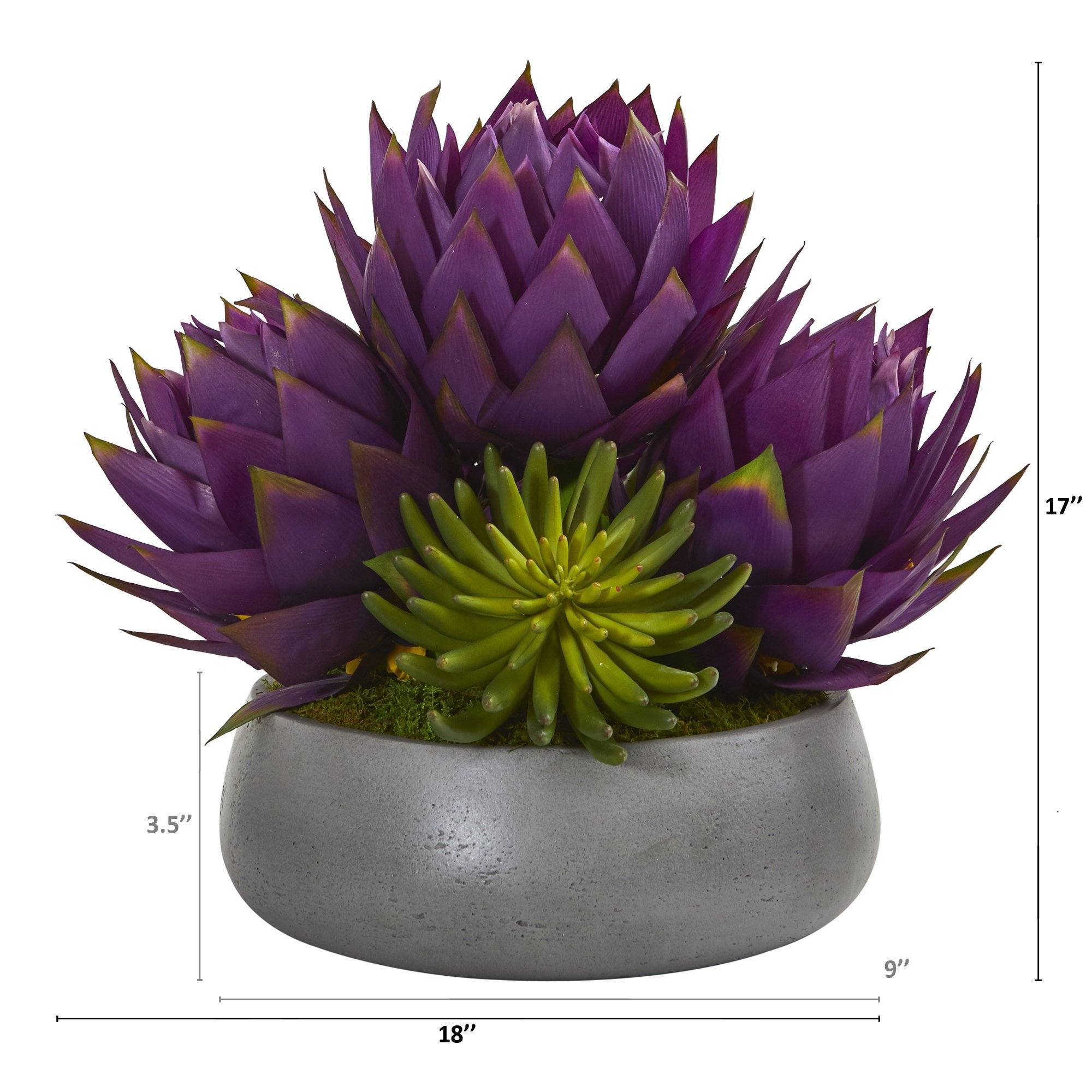 18” Musella and Succulent Arrangement in Gray Garden Vase