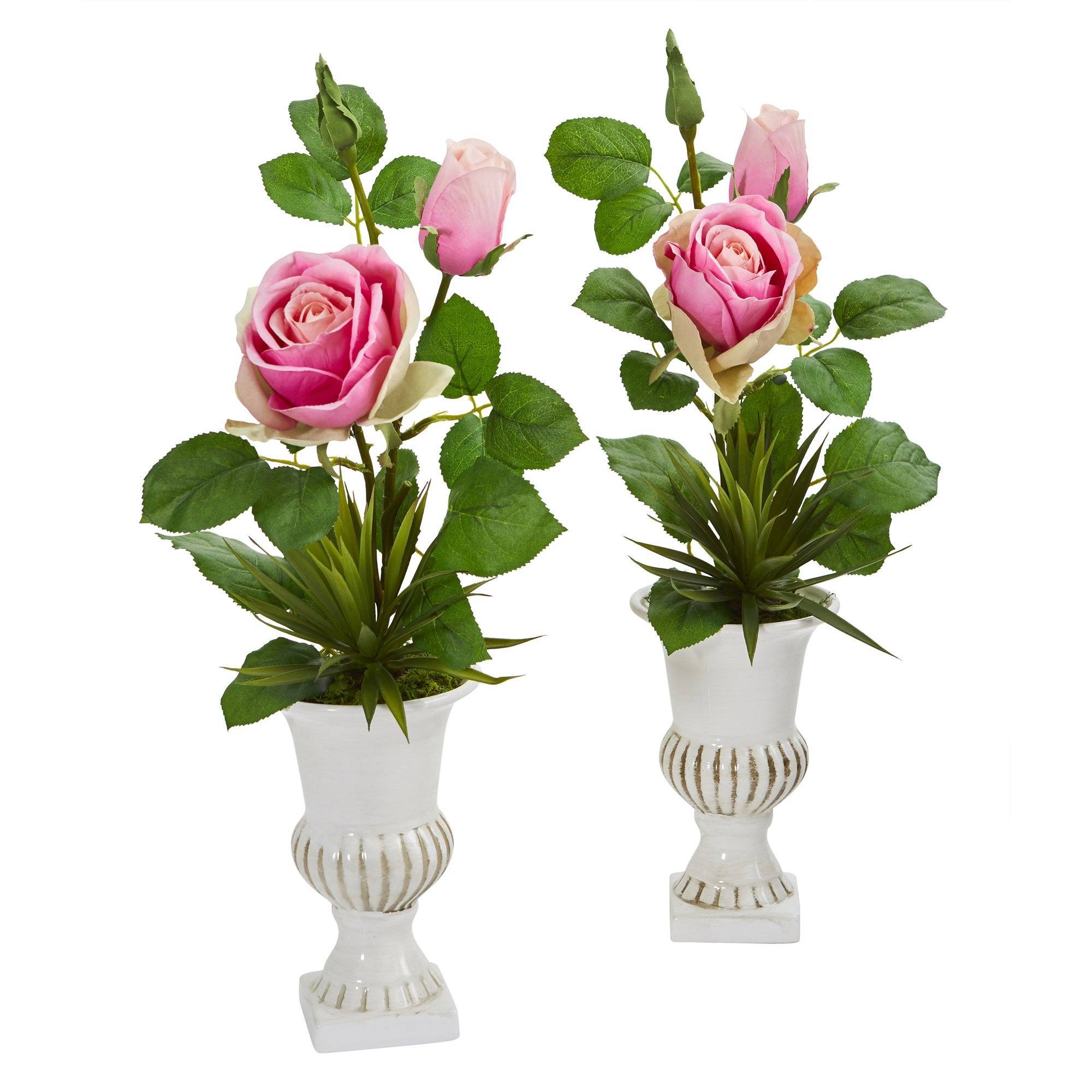 18” Rose and Agave Arrangement in White Urn (Set of 2)